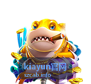 kiayun官网技术顾问方案沟通现场